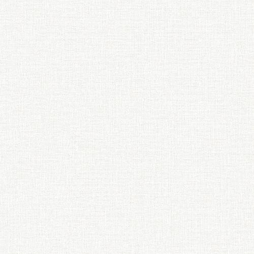 RGI1008-1