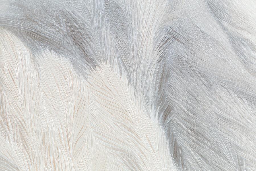 dtl