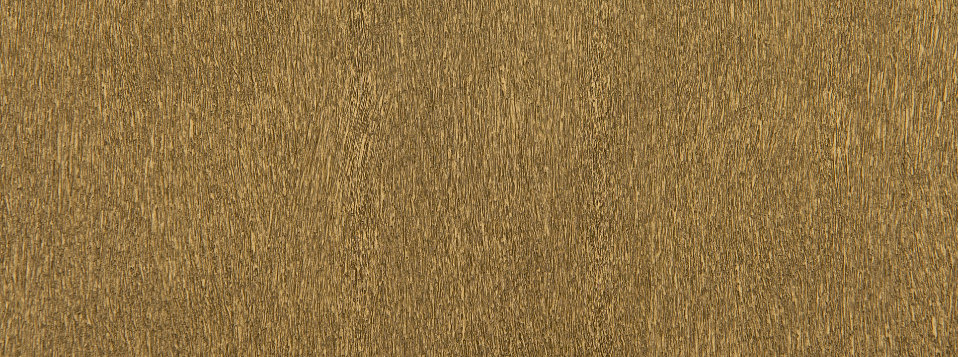 Изображение Rasch African Queen III 751031