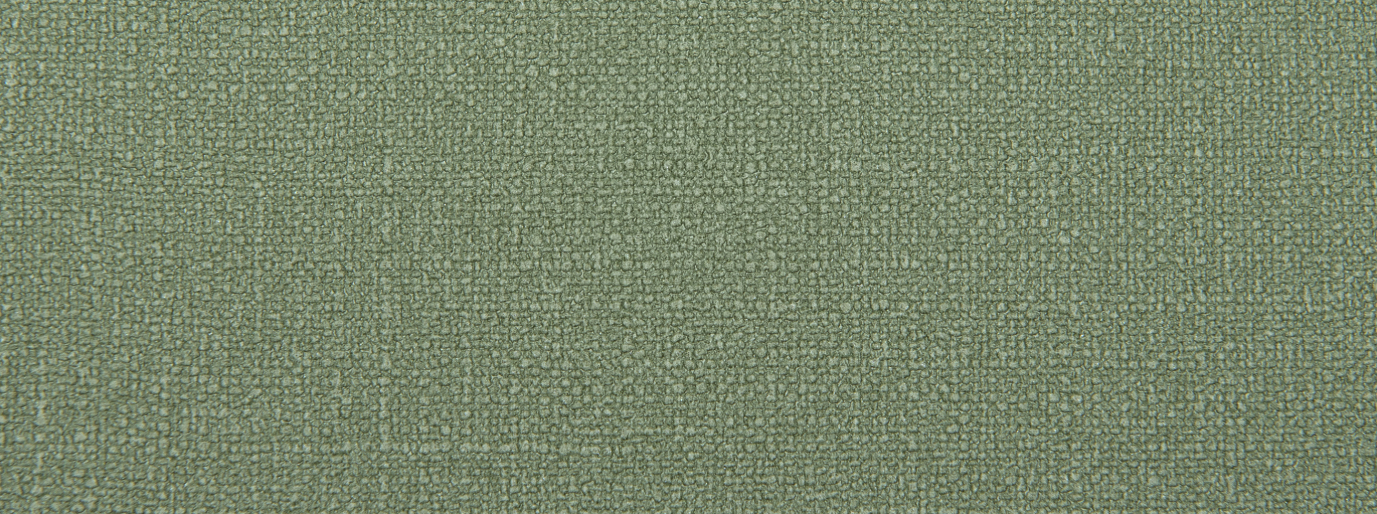 Изображение Alessandro Allori Rebecca 15007-16