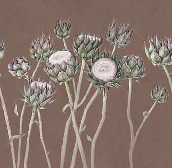 ARTICHOKE № 04