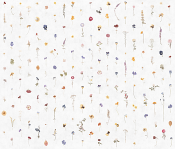 FRAGILITY № 02