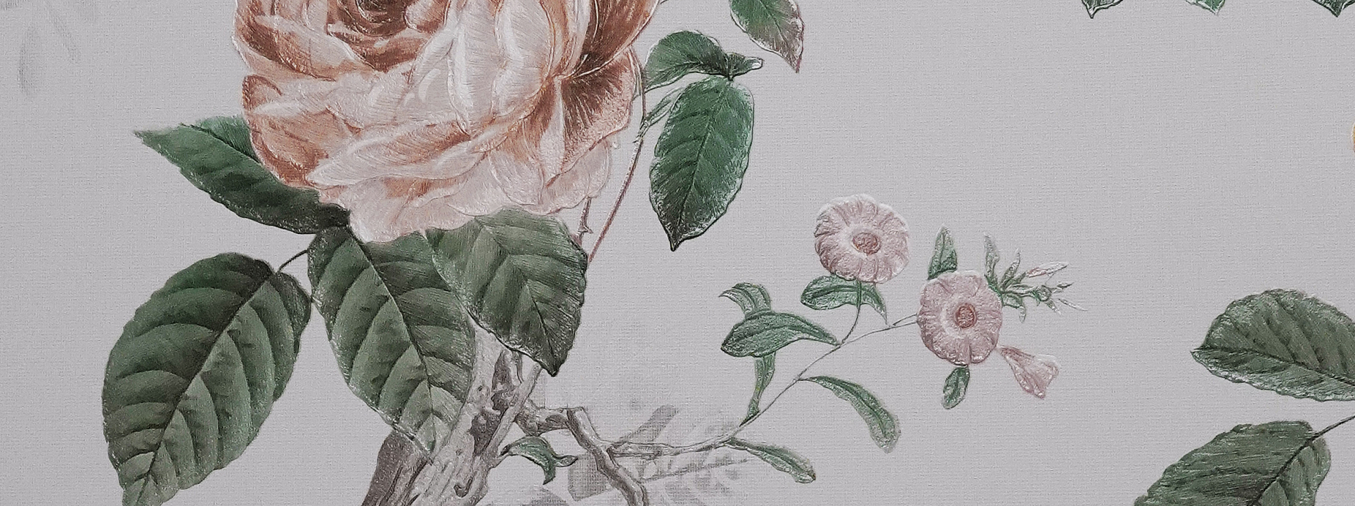 Изображение Andrea Rossi Cavoli 54421-2