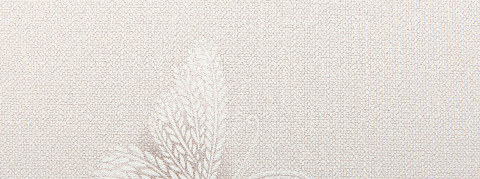 Изображение Alessandro Allori Rebecca 15004-1