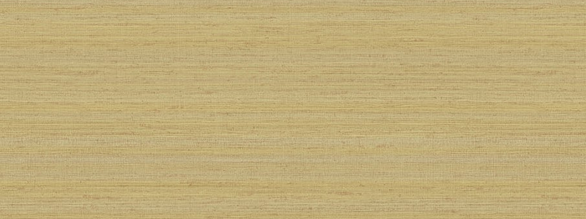 Изображение Jwall Jaipur 6851
