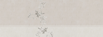 OLIVE № 07