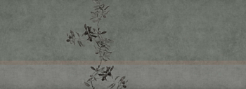 OLIVE № 02