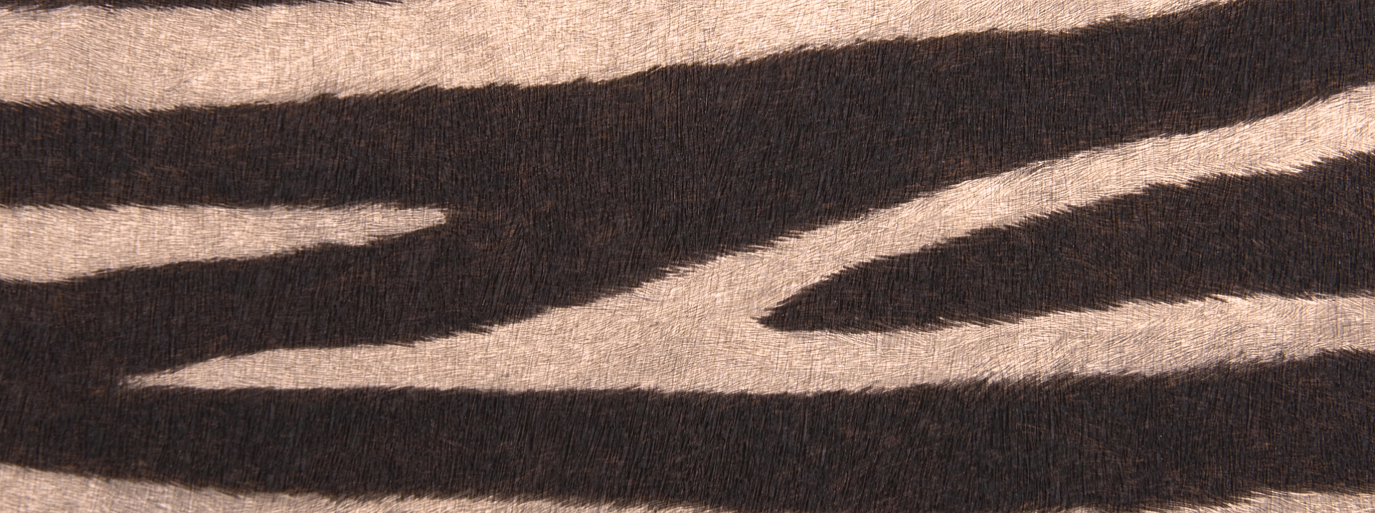 Изображение Rasch African Queen III 751741