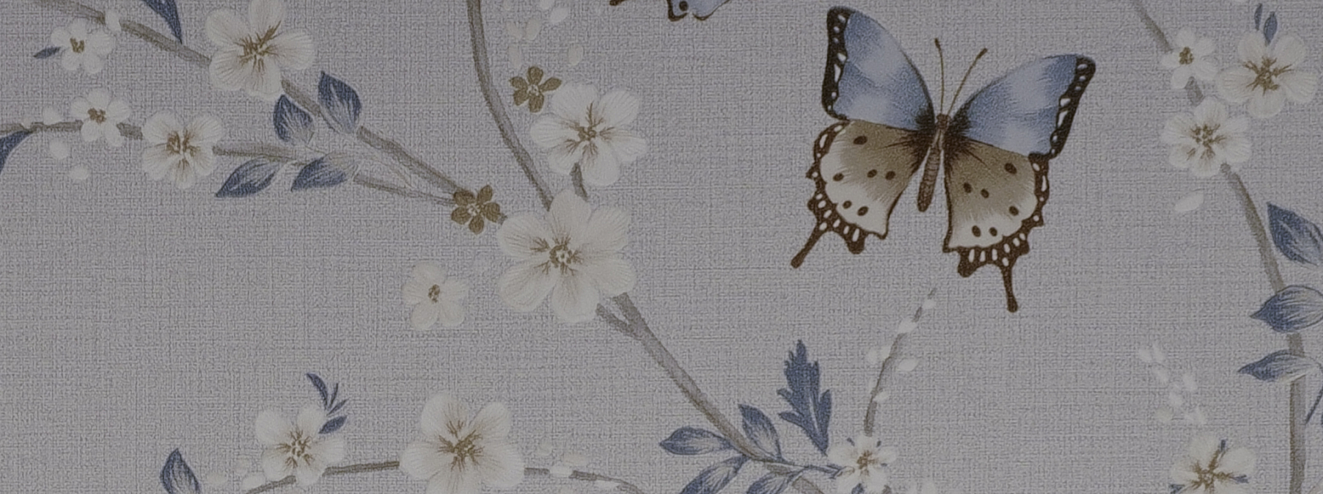 Изображение Andrea Rossi Spectrum Box 54460-3