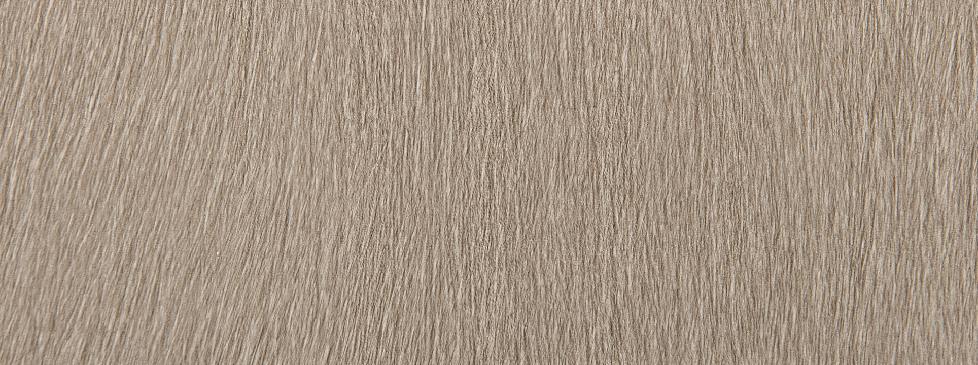 Изображение Rasch African Queen III 751055