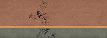 OLIVE № 06